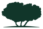 Qatar Foundation logo